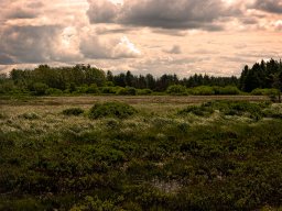 IMGP6272_Borris Soenderland